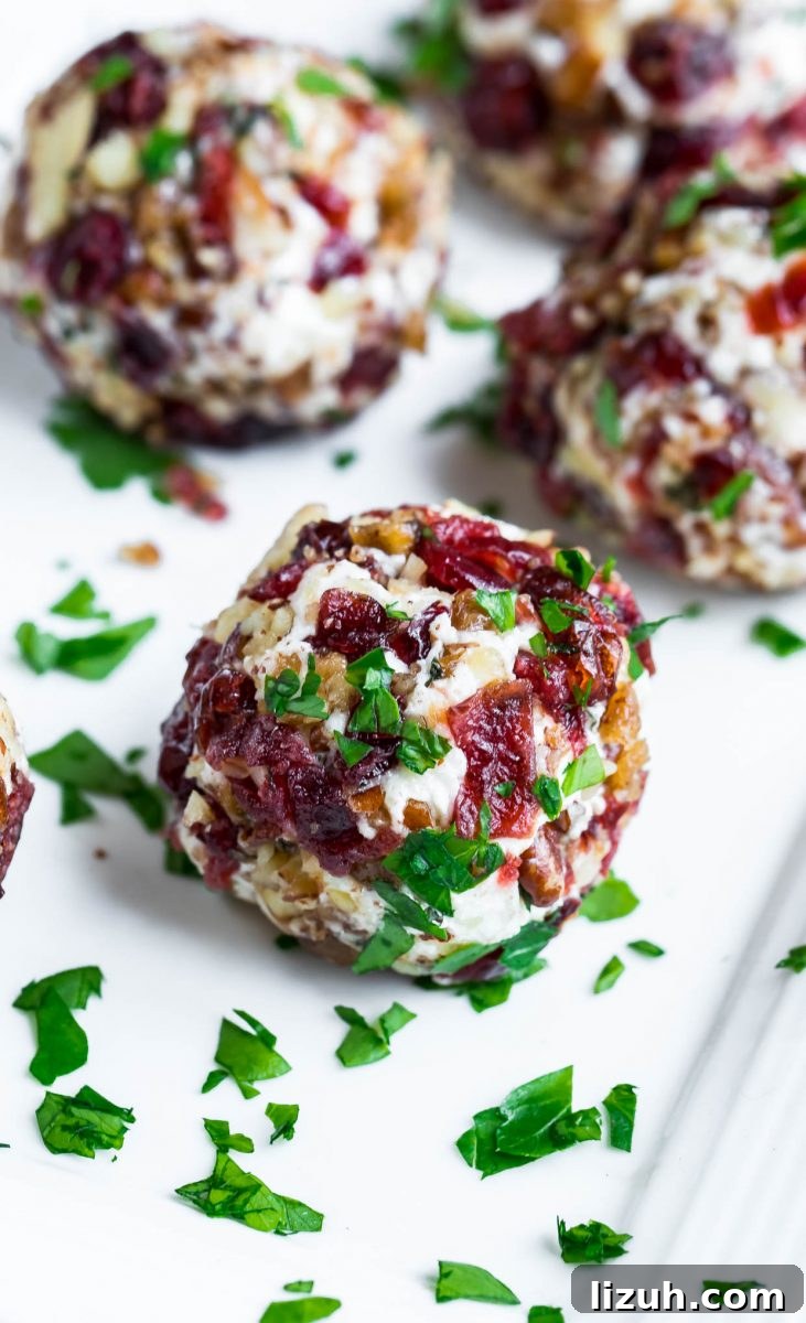 Savory Vegetarian Thanksgiving Menu Ideas for a Memorable Feast 3 Vegetarian Thanksgiving Recipes - Cranberry Goat Cheese Ball Appetizer