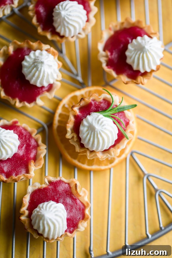 Savory Vegetarian Thanksgiving Menu Ideas for a Memorable Feast 21 Mini Cranberry Tarts