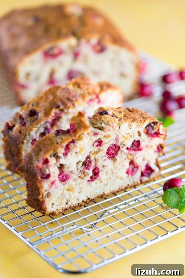Savory Vegetarian Thanksgiving Menu Ideas for a Memorable Feast 23 Cranberry Banana Bread