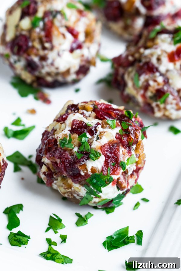 Savory Vegetarian Thanksgiving Menu Ideas for a Memorable Feast 7 Mini Candied Pecan Cranberry Goat Cheese Balls