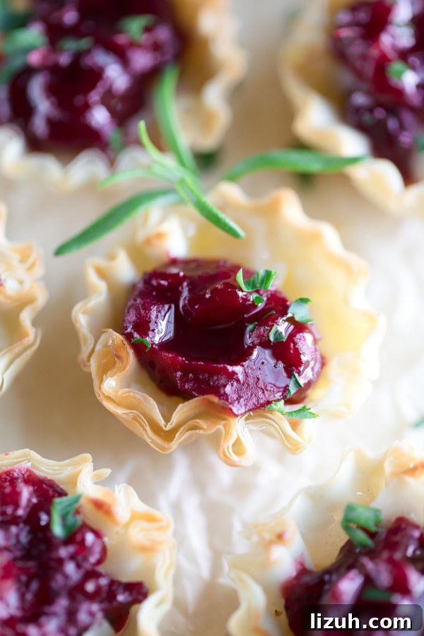 Savory Vegetarian Thanksgiving Menu Ideas for a Memorable Feast 9 Cranberry Brie Phyllo Cups Appetizer