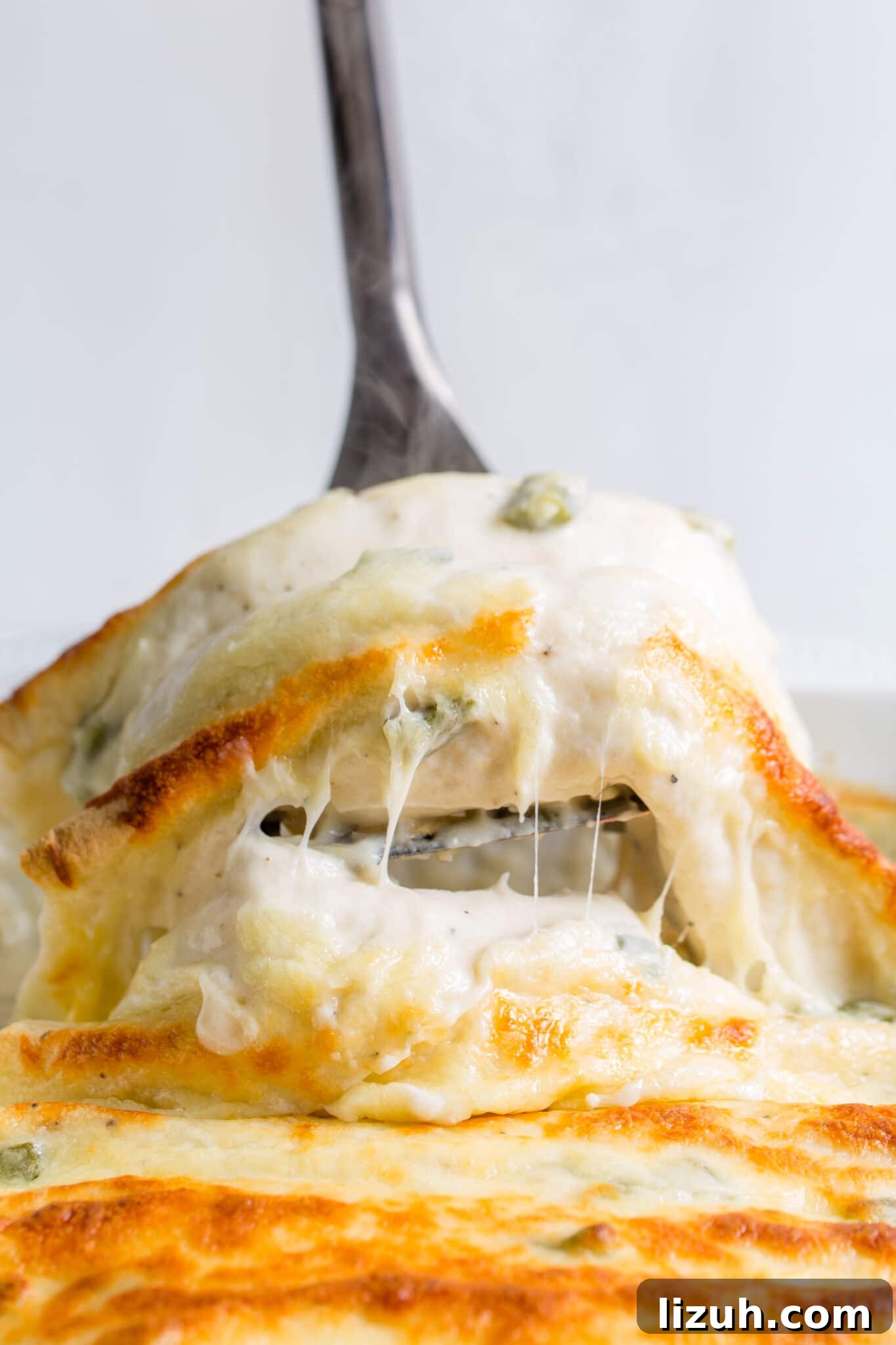 Enchilada Freezer Cooking Recipe, closeup on fork