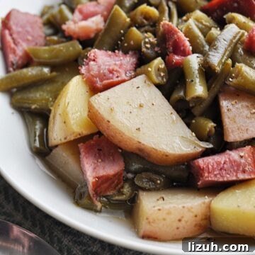 Slow-Cooker Ham, Potatoes, and Green Beans Recipe for Busy Nights 6 Green beans and potatoes with ham chunks on plate