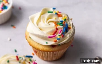 Two funfetti cupcakes with vanilla buttercream frosting and rainbow sprinkles on top sitting next to a small pinch pot of sprinkles and a piping bag filled with frosting.