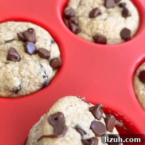 Chocolate Chip Oat Muffins Recipe – Moist, Homemade Morning Muffins 7 Chocolate chip oat muffins fresh out of the oven