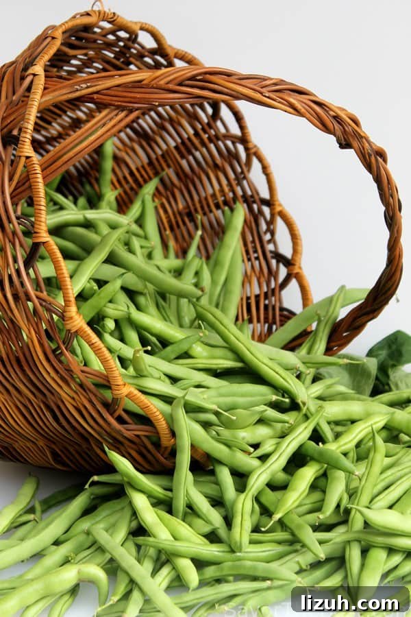 Fresh picked green beans 