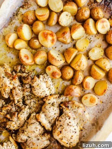 Baked chicken and potatoes on a sheet pan.