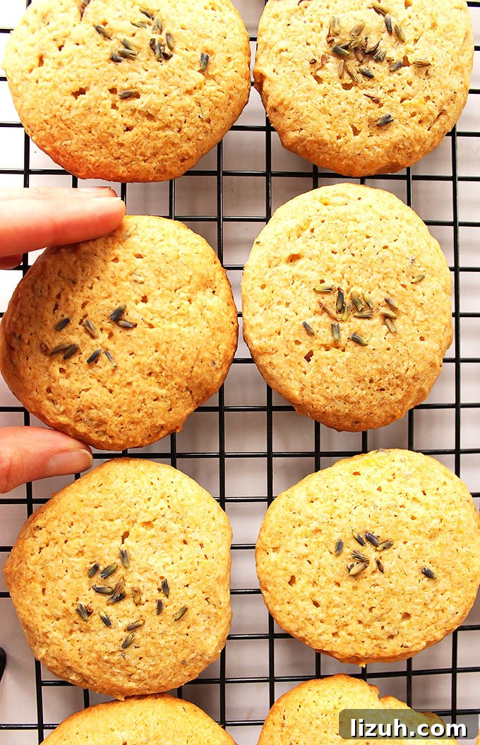 Lavender Lemon Cookies - EASY to make, all done in a food processor. Crunchy outside, fluffy inside with hints of lemon and lavender. We LOVE this recipe in the spring. Gluten Free/Egg Free! | robustrecipes.com