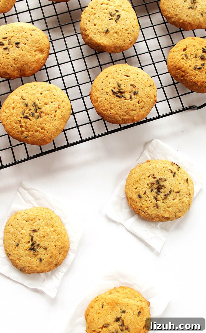 Lavender Lemon Gluten-Free Cookies: Light Floral Citrus Recipe 9 Lavender Lemon Cookies - EASY to make, all done in a food processor. Crunchy outside, fluffy inside with hints of lemon and lots of lavender. We love this recipe in the spring! Gluten Free/Egg Free! | robustrecipes.com