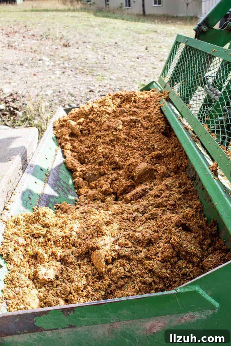 Pulp left from pressing apples in a tractor. 