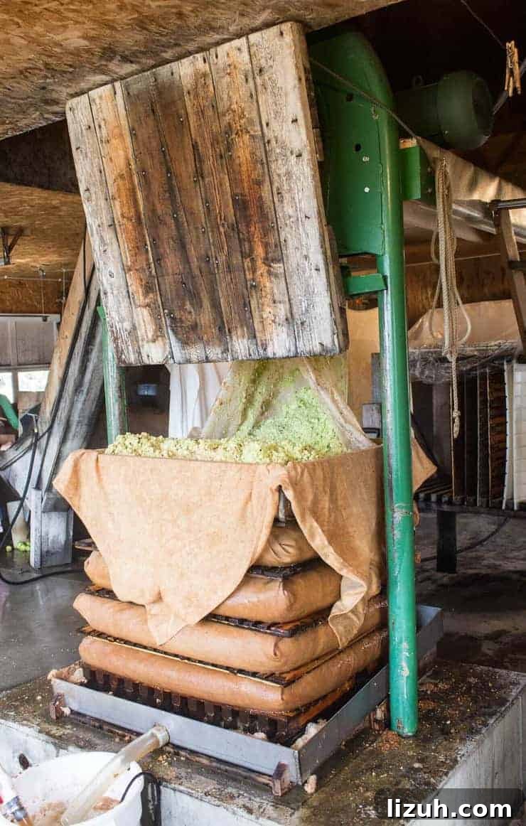 Crushed apples falling onto a pallet with a brown sheet.