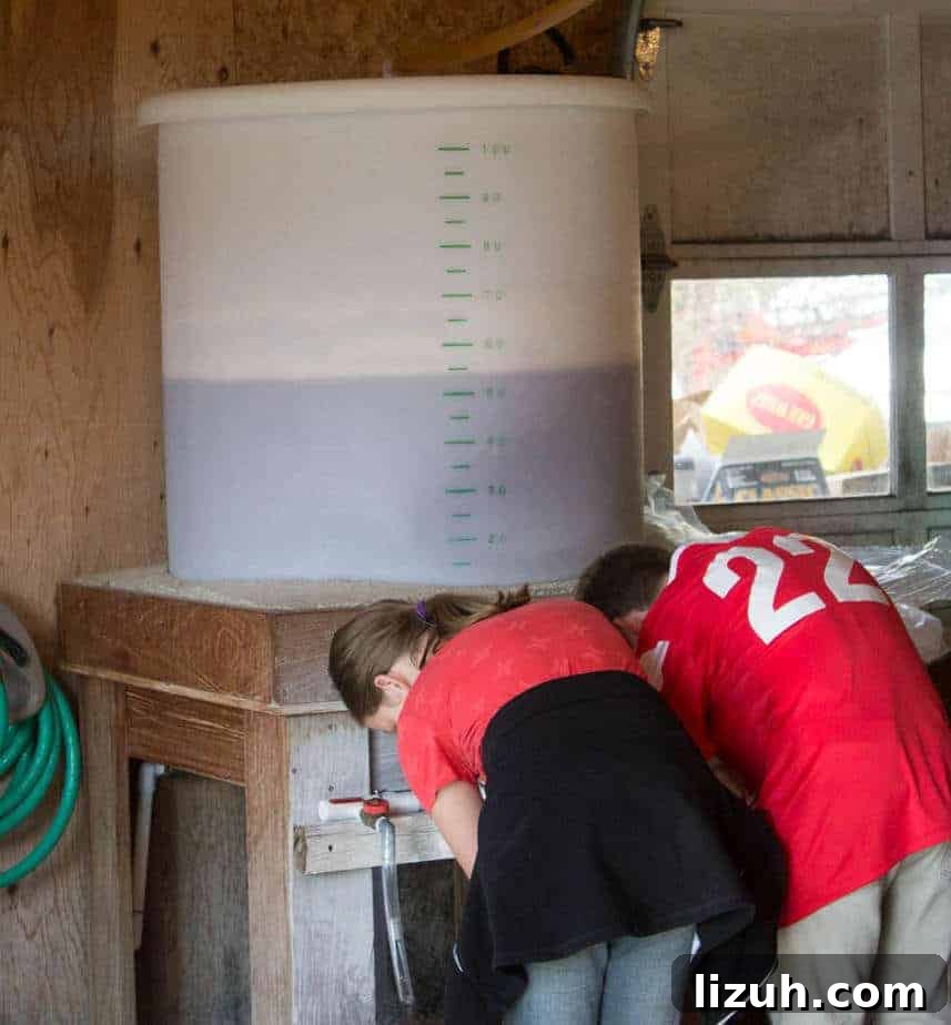 A large container hold 50 gallons of apple cider. 
