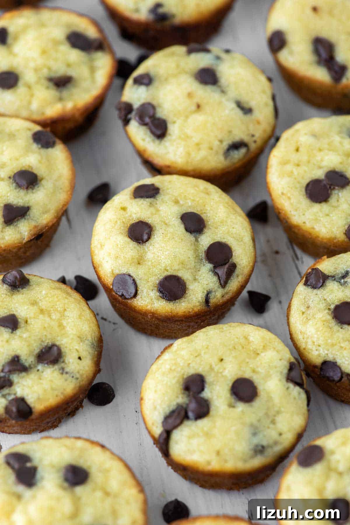 multiple mini chocolate chip muffins on white board
