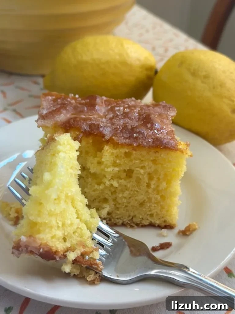 Crackly Glaze Lemon Cake Recipe: Moist, Zesty Slice 2 img 4905 1