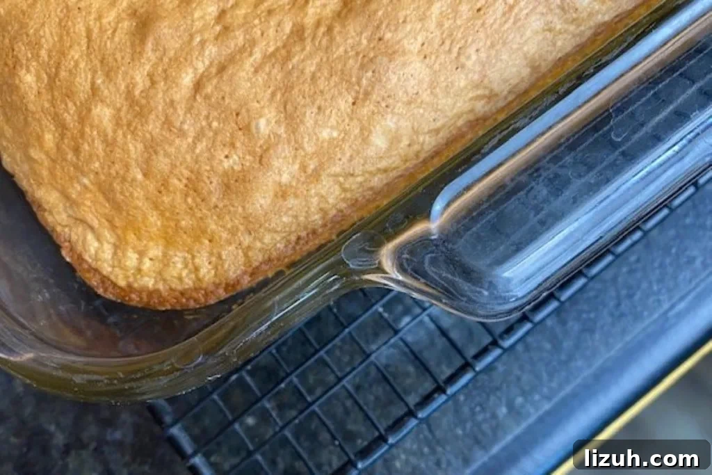 Crackly Glaze Lemon Cake Recipe: Moist, Zesty Slice 6 img 4905 5