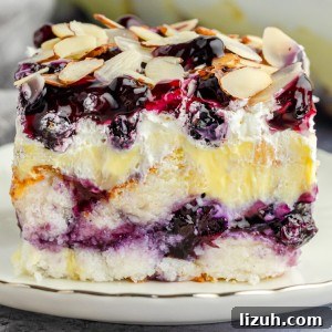 No-Bake Blueberry Angel Food Cake Recipe 10 Blueberry Angel Food Cake Recipe No Bake