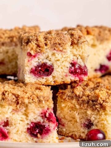 Slices of cranberry coffee cake on a platter.