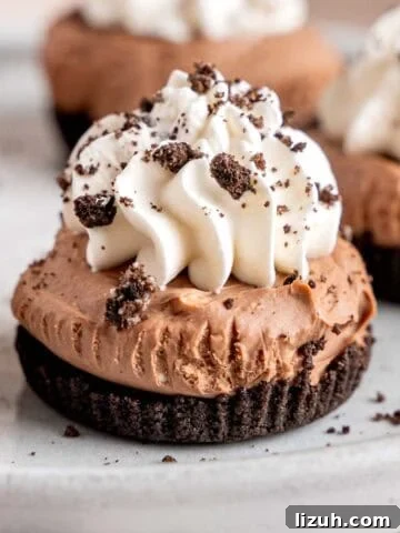 No-bake mini chocolate cheesecakes topped with whipped cream and crushed Oreo cookies.