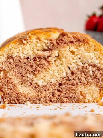 A loaf cake with vanilla and strawberry swirls.