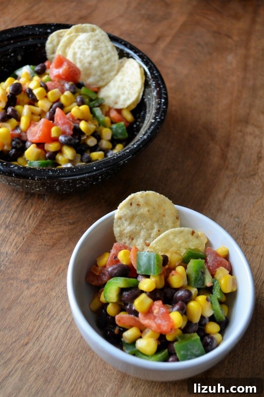 Zesty Black Bean Salad with Corn and Cilantro Dressing 3 Black Bean Salad from www.ApronFreeCooking.com