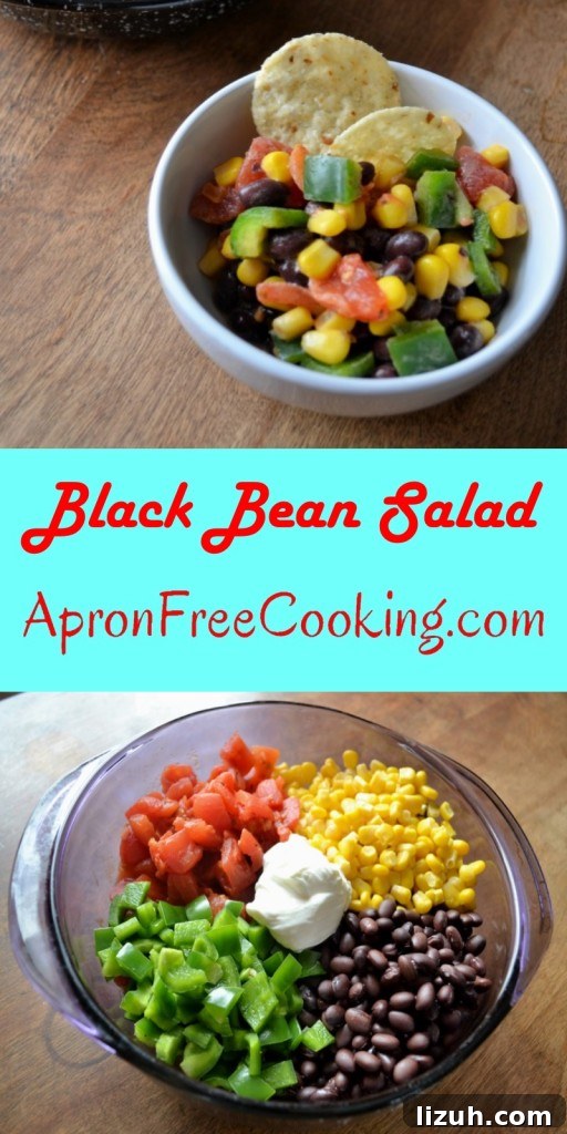 Zesty Black Bean Salad with Corn and Cilantro Dressing 4 Black Bean Salad from www.ApronFreeCooking.com