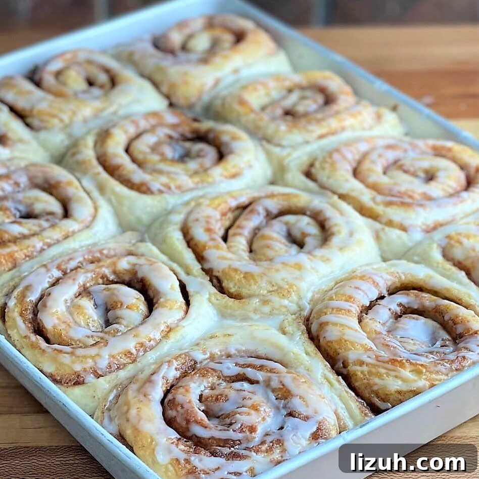 Bakery-Style Soft Gooey Cinnamon Rolls Recipe 2 soft cinnamon rolls bakery recipe