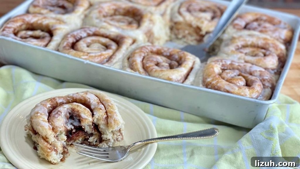 Bakery-Style Soft Gooey Cinnamon Rolls Recipe 5 Soft and Gooey Bakery-Style Cinnamon Roll