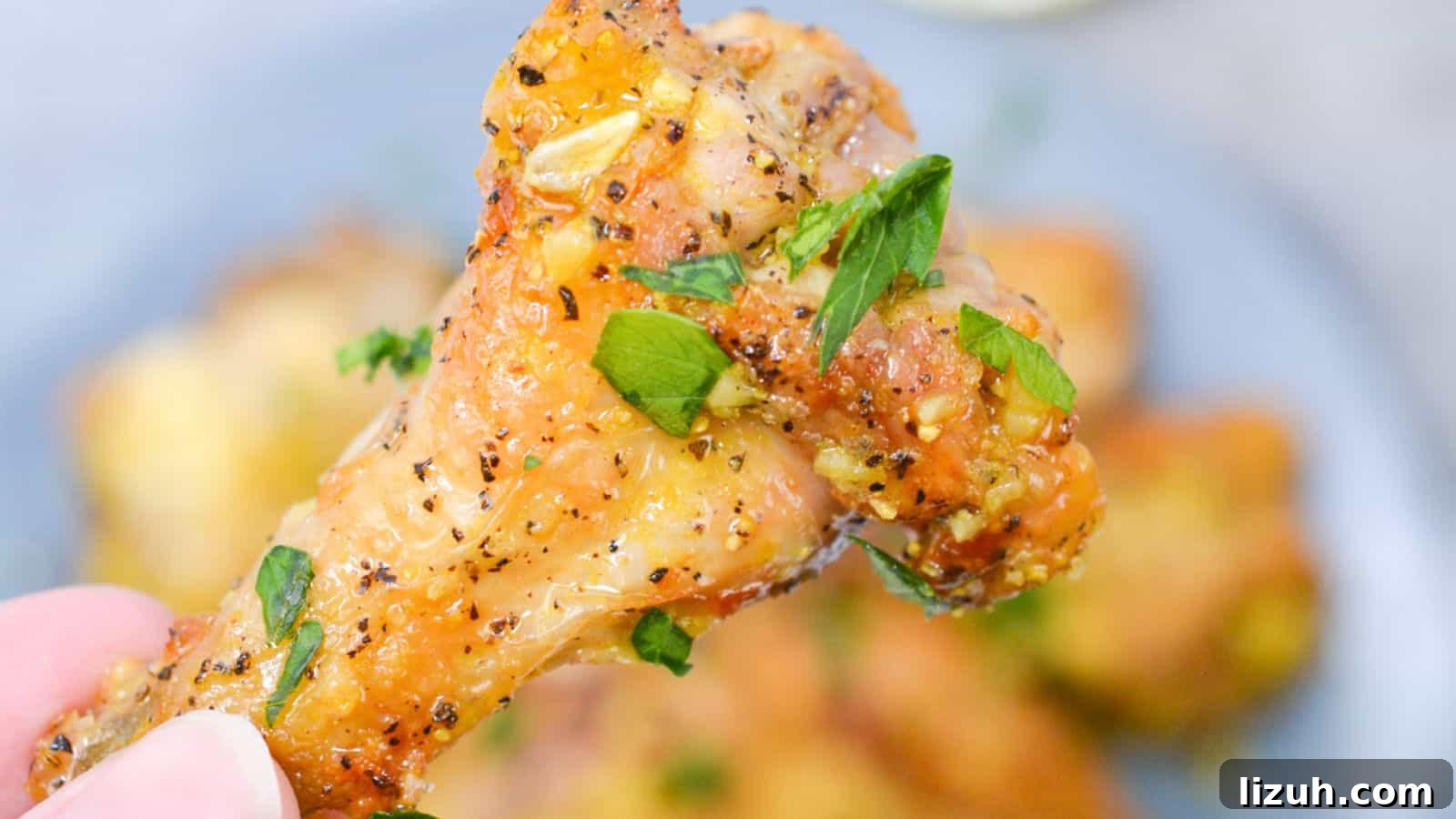 Close-up of a hand holding a seasoned chicken wing garnished with fresh herbs, with more pieces on a plate in the background.
