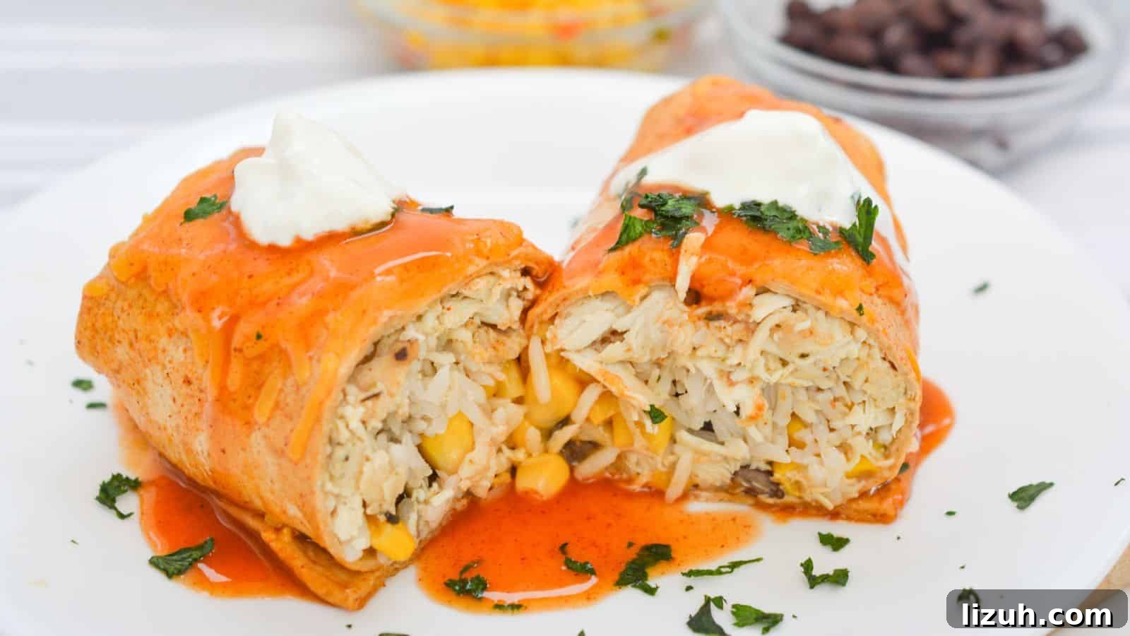Chicken wet burrito with salsa and sour cream on a white plate.
