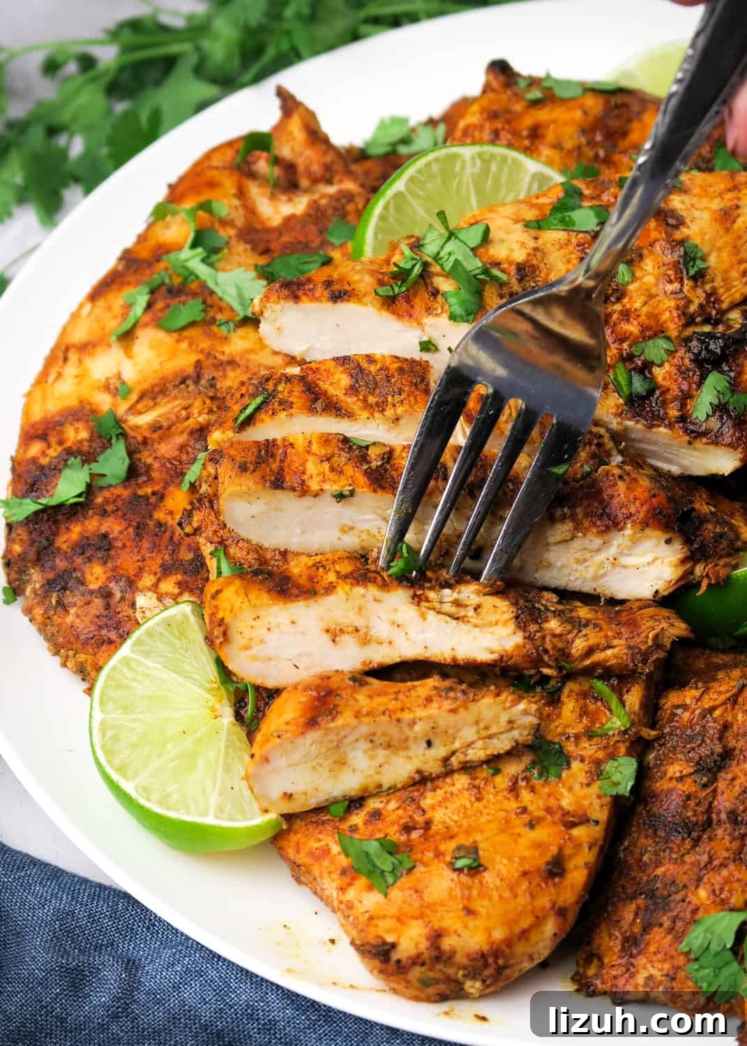 bite shot of sliced Pollo Asado