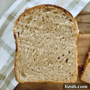 13 Must-Try Thermomix Sourdough Recipes You Can Make Today 14 Sourdough sandwich bread