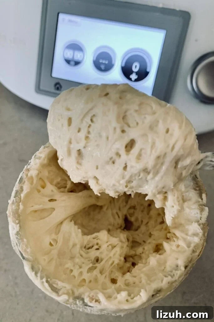 13 Must-Try Thermomix Sourdough Recipes You Can Make Today 3 Bubbly active sourdough starter being stirred in front of TM5.