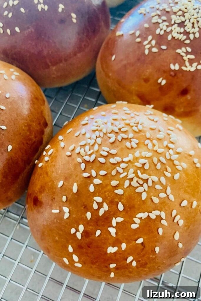 13 Must-Try Thermomix Sourdough Recipes You Can Make Today 23 Sourdough hamburger buns