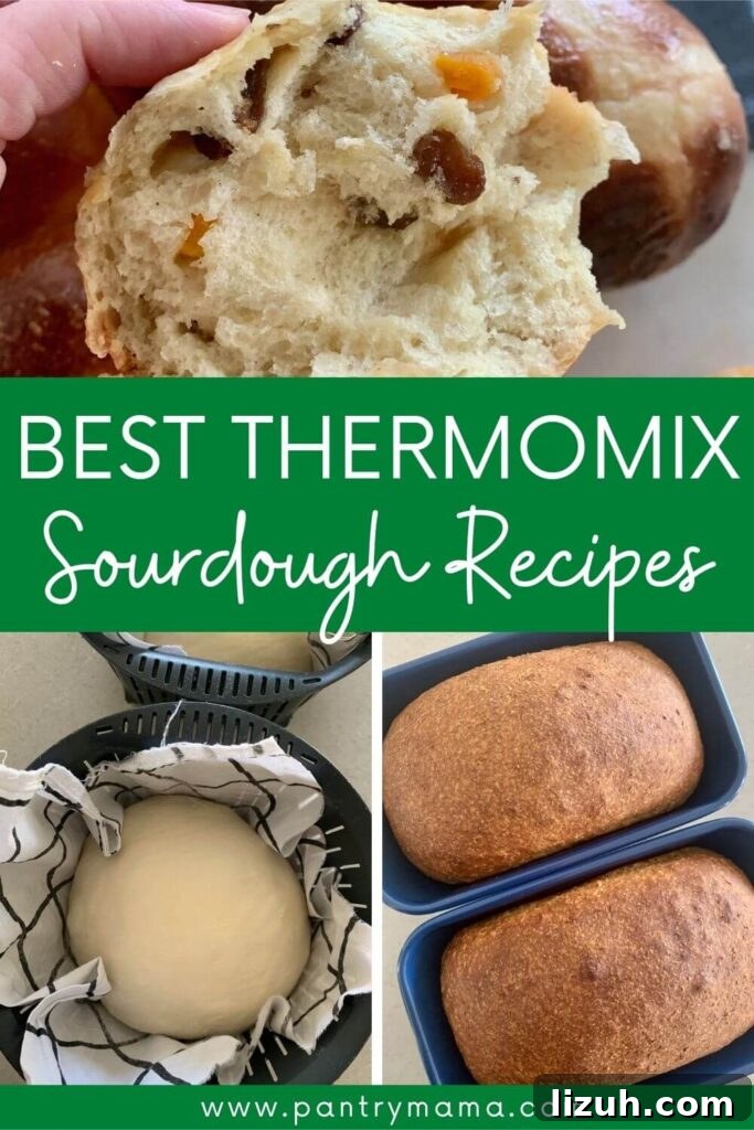 13 Must-Try Thermomix Sourdough Recipes You Can Make Today 25 Best Sourdough Thermomix Recipes