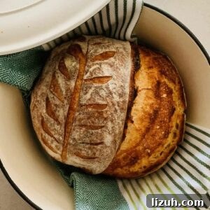 13 Must-Try Thermomix Sourdough Recipes You Can Make Today 4 Thermmomix Sourdough Bread Recipe