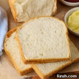 13 Must-Try Thermomix Sourdough Recipes You Can Make Today 5 Sourdough discard sandwich loaf