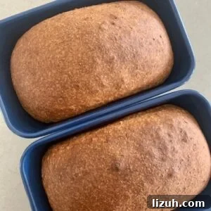 13 Must-Try Thermomix Sourdough Recipes You Can Make Today 8 Whole Wheat Sourdough Bread
