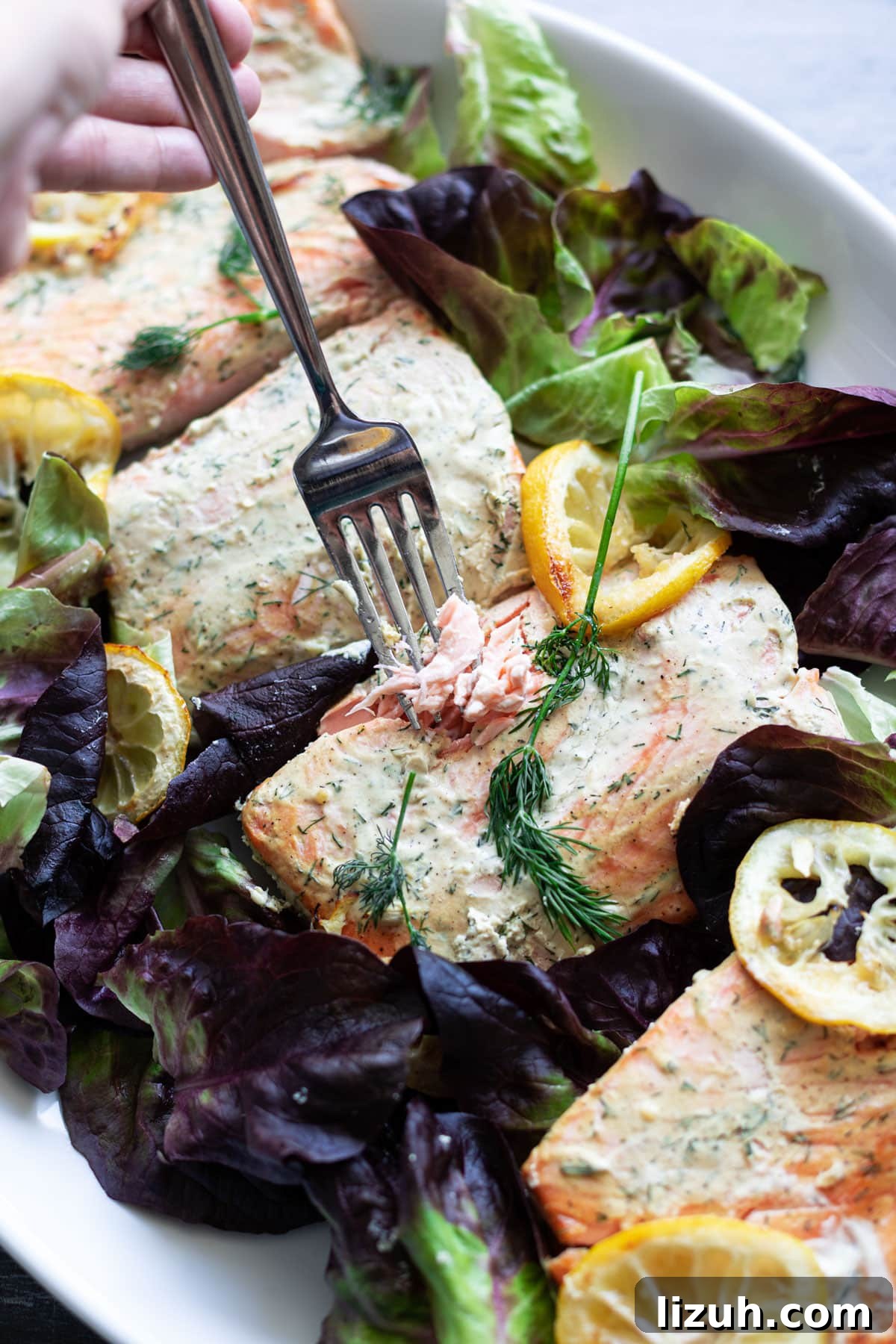 Serving bake salmon with dill sauce on a platter over a bed of mixed greens. 