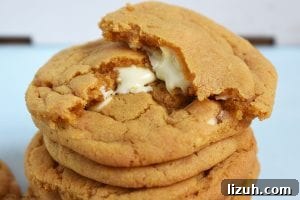 Butterscotch Cookies Stuffed with White Chocolate Center 2 White Chocolate Stuffed Butterscotch Cookies. Chewy butterscotch pudding cookies packed full of white chocolate for a melty, gooey middle. These use a butterscotch pudding mix to give the strong butterscotch flavour and to add chew to the cookie. #butterscotchcookies