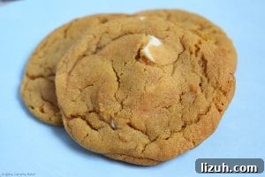 Butterscotch Cookies Stuffed with White Chocolate Center 3 White Chocolate Stuffed Butterscotch Cookies. Chewy butterscotch pudding cookies packed full of white chocolate for a melty, gooey middle. These use a butterscotch pudding mix to give the strong butterscotch flavour and to add chew to the cookie. #butterscotchcookies