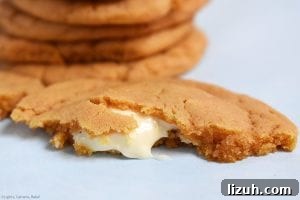 Butterscotch Cookies Stuffed with White Chocolate Center 5 White Chocolate Stuffed Butterscotch Cookies. Chewy butterscotch pudding cookies packed full of white chocolate for a melty, gooey middle. These use a butterscotch pudding mix to give the strong butterscotch flavour and to add chew to the cookie. #butterscotchcookies