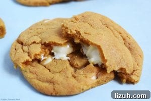 Butterscotch Cookies Stuffed with White Chocolate Center 6 White Chocolate Stuffed Butterscotch Cookies. Chewy butterscotch pudding cookies packed full of white chocolate for a melty, gooey middle. These use a butterscotch pudding mix to give the strong butterscotch flavour and to add chew to the cookie. #butterscotchcookies