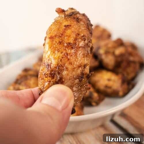 Close up of jerk wing in hand. Golden brown asnd delicious