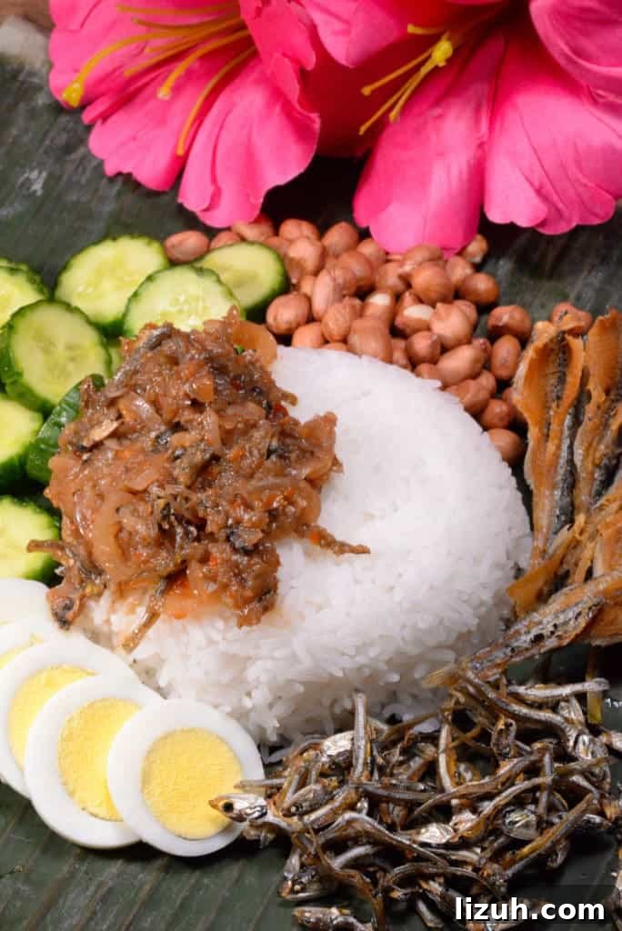 Malaysian Nasi Lemak: Coconut Rice with Spicy Dried Anchovy Sambal 2 Malaysian Nasi Lemak