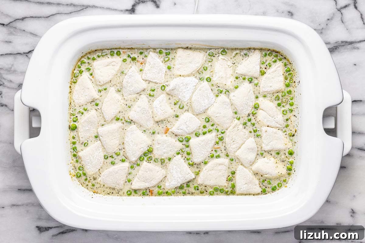 Slow Cooker Chicken and Dumplings: Comforting One-Pot Recipe 7 Biscuit dumplings on top of chicken and veggies in a cream sauce in a slow cooker.
