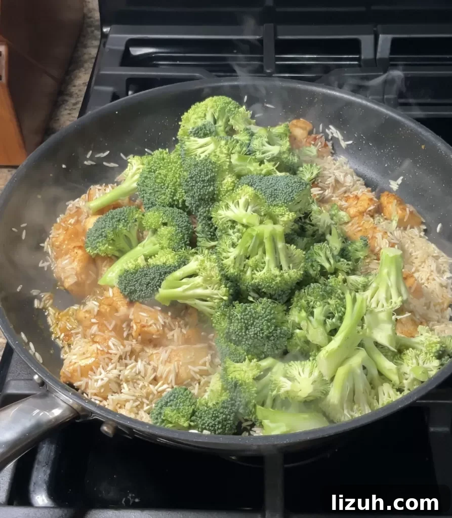 Cheesy Chicken, Broccoli & Rice Casserole Recipe 6 Cheesy Chicken Broccoli and Rice