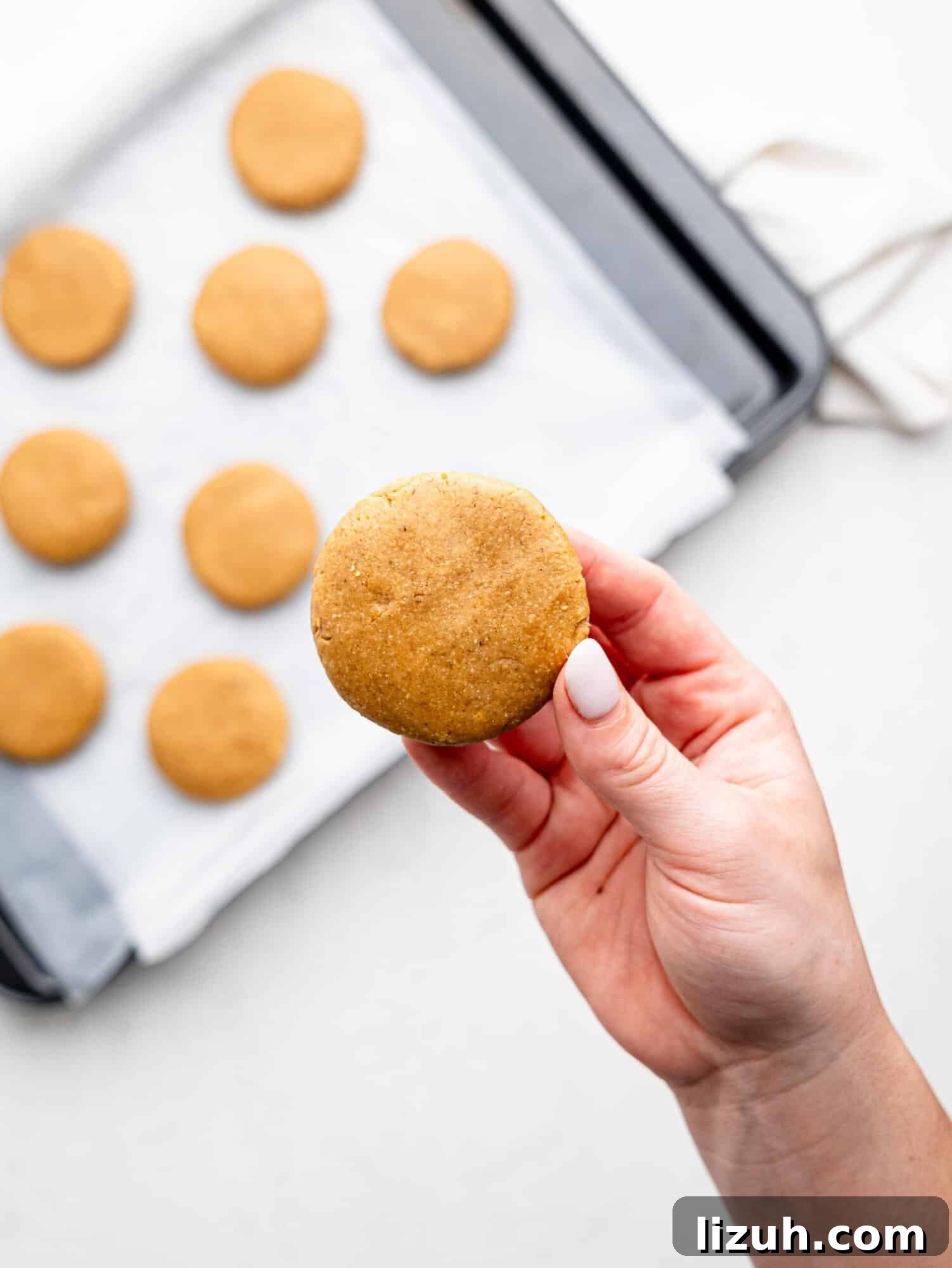 A hand holding a no bake pb cookie.
