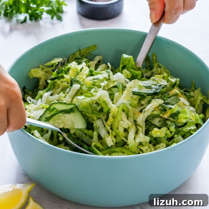 Romaine salad recipe.