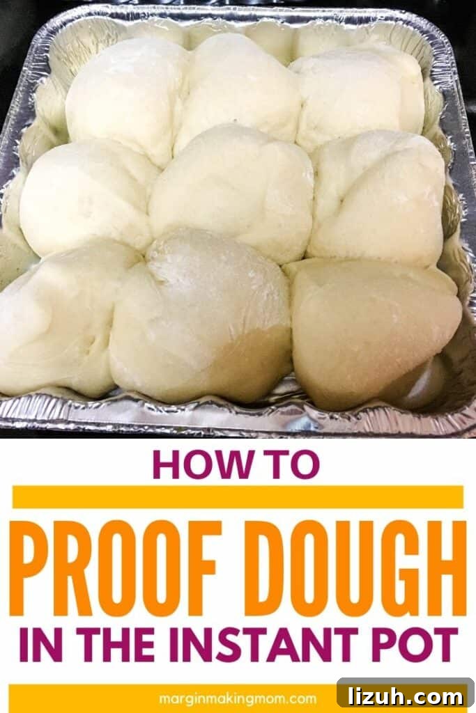 Proof Dough Quickly in an Instant Pot: A Step-by-Step Guide 2 Dough for rolls rising in a pan