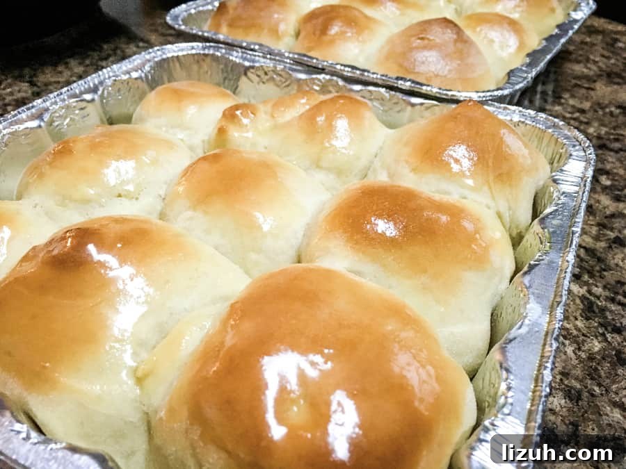 Proof Dough Quickly in an Instant Pot: A Step-by-Step Guide 3 pans of Instant Pot dinner rolls made with dough that proofs in the Instant Pot